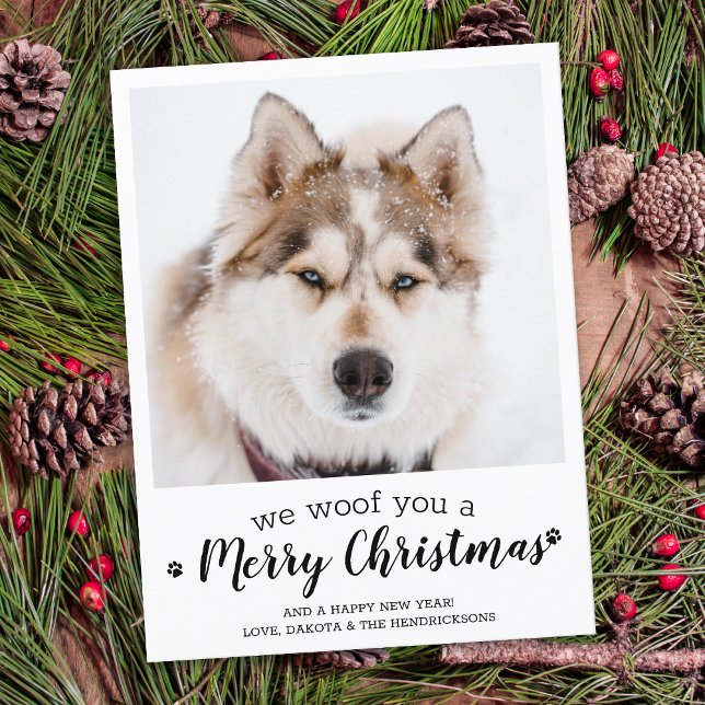 God jul från Hund moderna sällskapsfoto Helg Vykort (Skapare uppladdad)