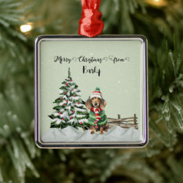 God jul från Hund Namn Julgransprydnad Metall
