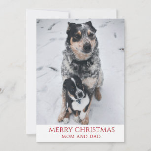 God jul från Hundar Julkort