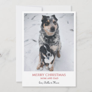 God Jul från hundarna Julkort