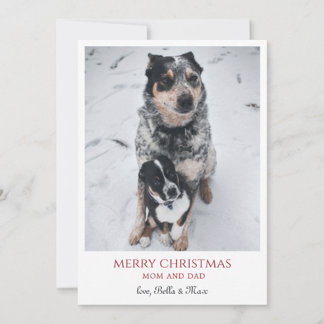 God Jul från hundarna Julkort (Framsida)