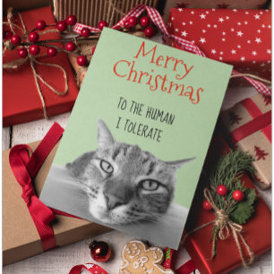 God jul från katt till människa. kort