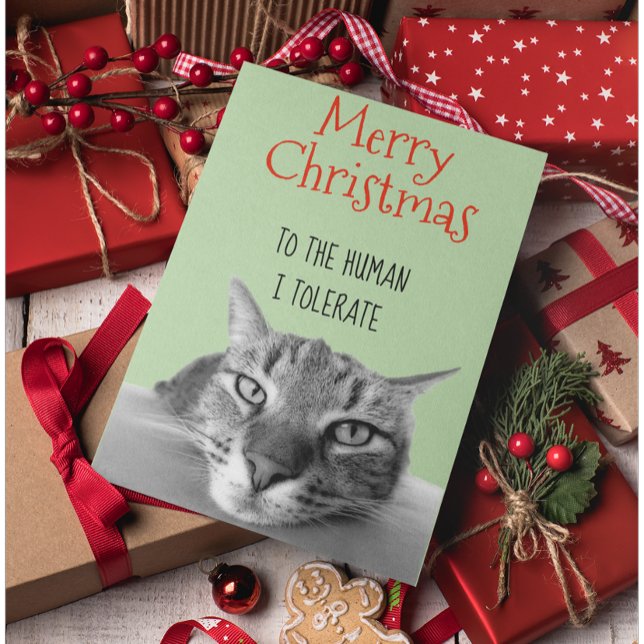 God jul från katt till människa. kort (Skapare uppladdad)