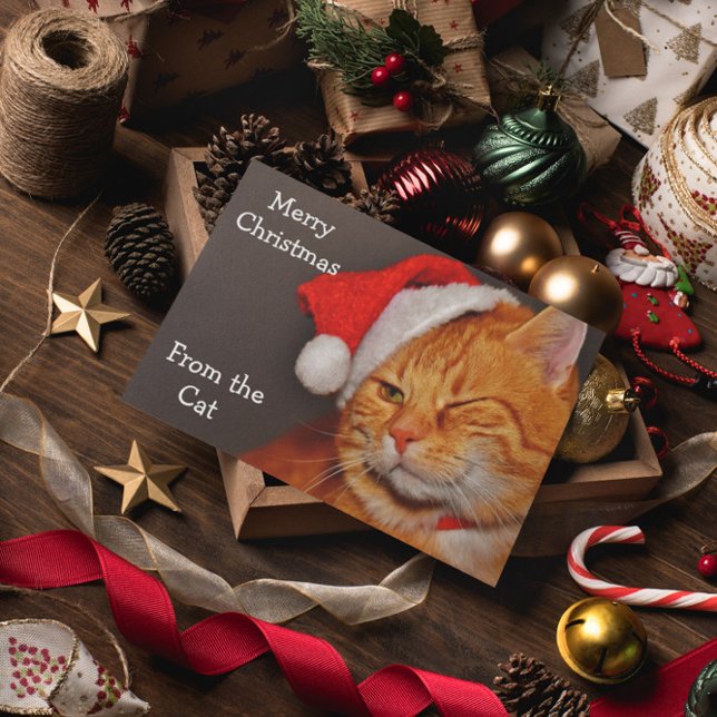 God jul från katten helgkort (Skapare uppladdad)