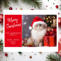 God Jul från katten i tomtehatt