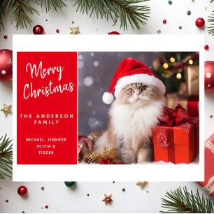 God Jul från katten i tomtehatt Helgkort