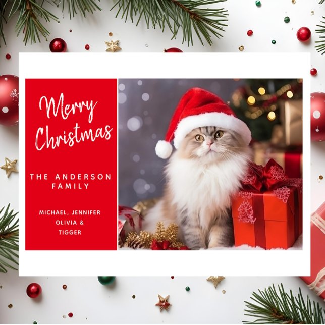 God Jul från katten i tomtehatt Helgkort (Skapare uppladdad)