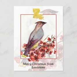 God jul från Louisiana Cedar Waxwing Bird Helg Vykort