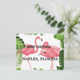 God jul från Naples, Florida Vykort