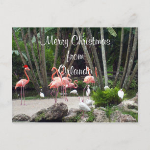 God jul från Orlando Helg Vykort