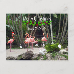God jul från Orlando - Rosa Flamingos Helg Vykort