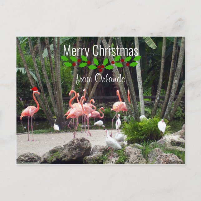 God jul från Orlando - Rosa Flamingos Helg Vykort (Framsida)