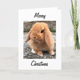 **GOD JUL** från "PÅSKHARN" Helgkort