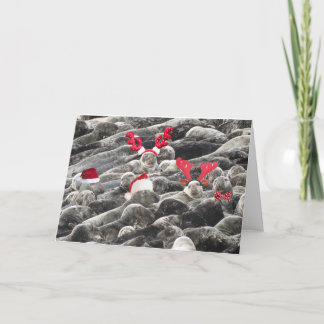 God jul från sälar helgkort