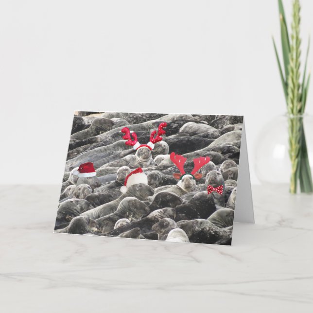 God jul från sälar helgkort (Framsida)