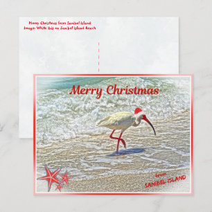 God jul från Sanibel Island FL White Ibis Helg Vykort