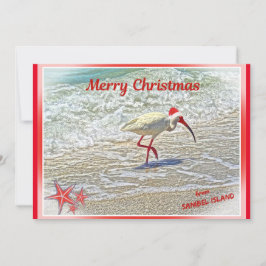 God jul från Sanibel Island FL White Ibis Julkort