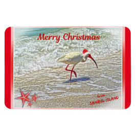 God jul från Sanibel Island FL White Ibis Magnet