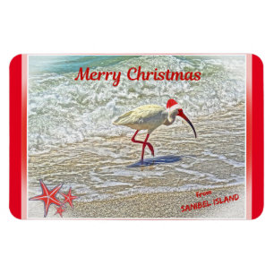 God jul från Sanibel Island FL White Ibis Magnet