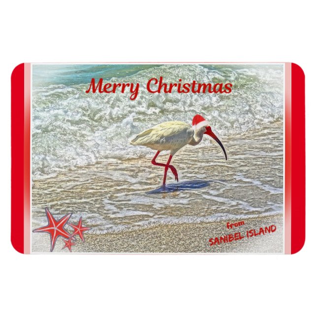 God jul från Sanibel Island FL White Ibis Magnet (Horisontell)
