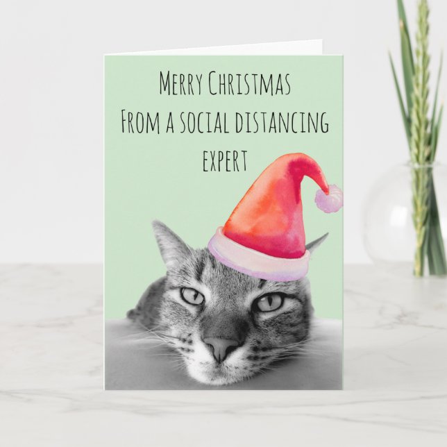 God jul från social distansering expert katt kort (Framsida)