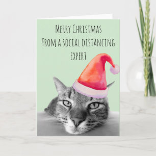 God jul från social distansering expert katt kort