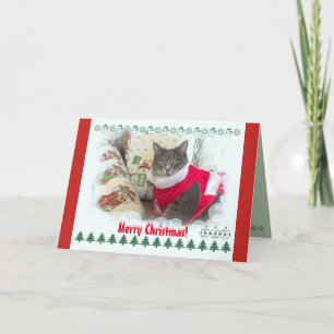God jul från söt katt helgkort