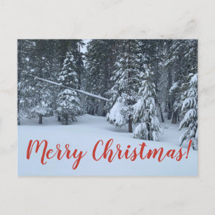God jul från Tahoe City! Vykort