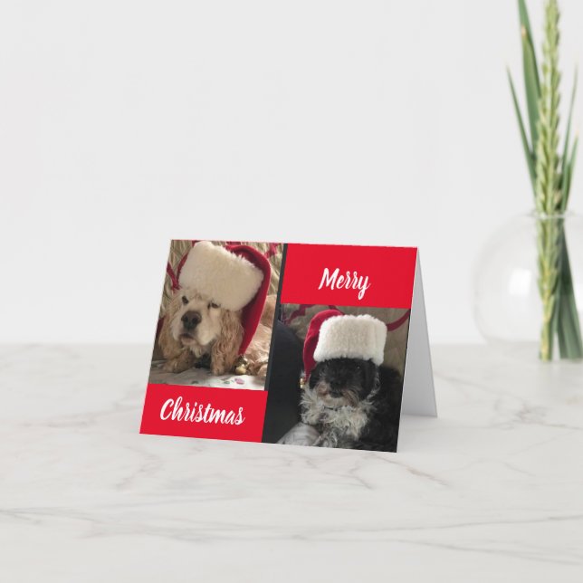GOD JUL FRÅN VÅR HUNDAR HELGKORT (Framsida)
