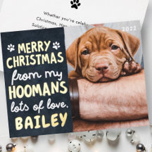 God jul Funny Modern Pet Anpassningsbar Photo