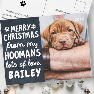 God jul Funny Modern Pet Anpassningsbar Photo Helg Vykort