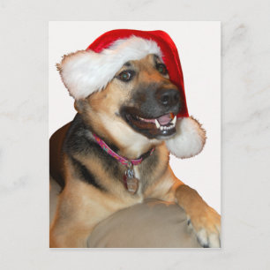 God jul German Shepherd Helg Vykort