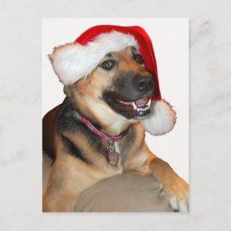 God jul German Shepherd Helg Vykort