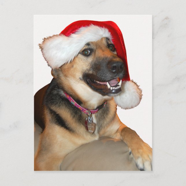 God jul German Shepherd Helg Vykort (Framsida)