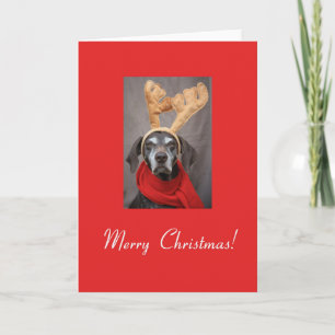 God jul German Shorthar Pointer Helgkort