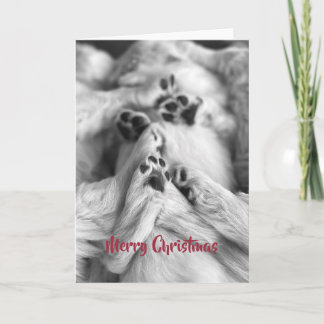 God Jul Golden Retriever Valp Tasskort Tack Kort