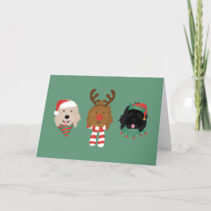 God jul Goldendoodle Hundar Helgkort