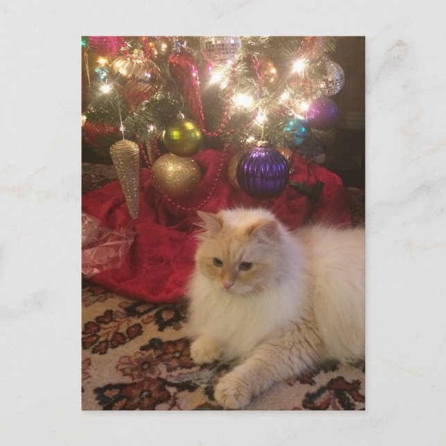 GOD JUL & GOTT NYTT ÅR VYKORT (Framsida)