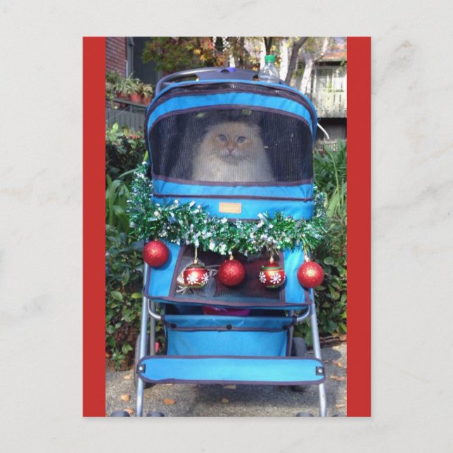 GOD JUL & GOTT NYTT ÅR VYKORT (Framsida)