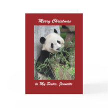 God jul Greeting Card Panda, Red Gräns
