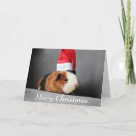 God jul Guinea Gris i Santa Hat Kort