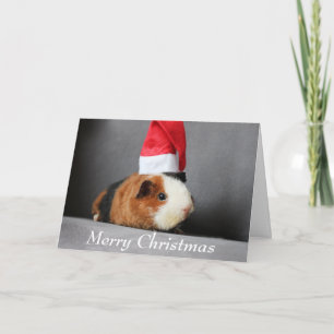 God jul Guinea Gris i Santa Hat Kort