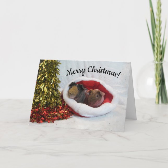 God jul Guinea-Gris-kort Helgkort (Framsida)