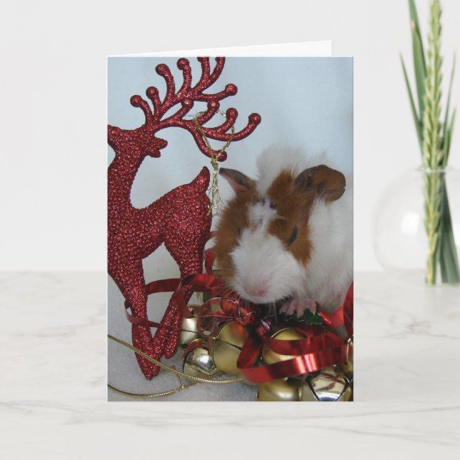 God jul! Guinea Gris med renar Helgkort (Framsida)