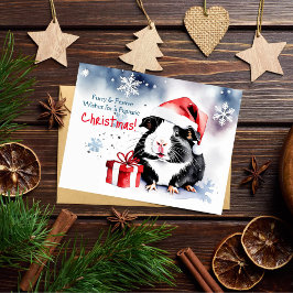 God jul guinea guinea, gris vykort