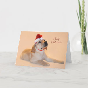 GOD JUL - GUL LAB HELGKORT