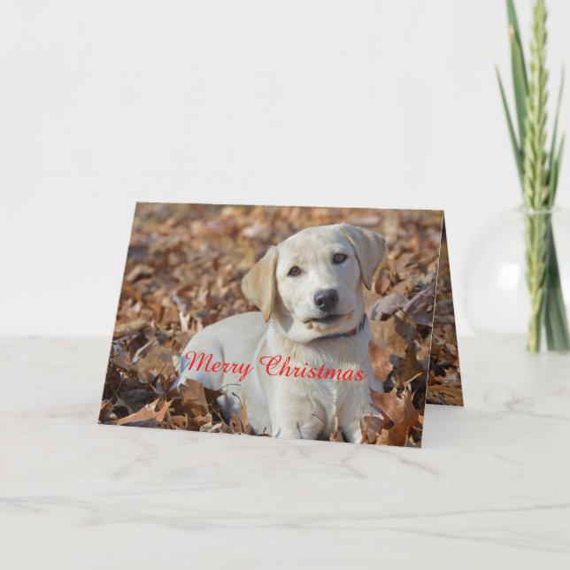 God jul Gult Labrador Retriever Helgkort (Framsida)