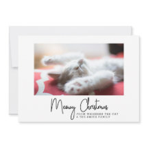 God Jul-hälsningar från din husdjurskatt