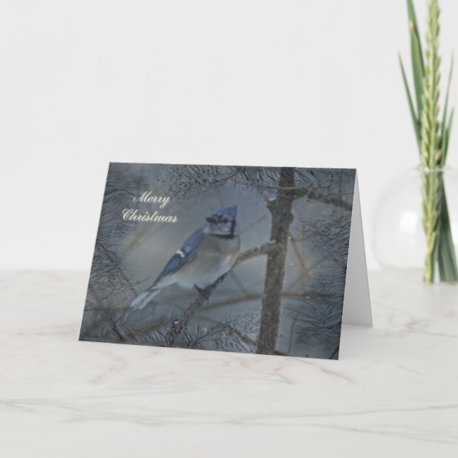 God jul hälsningskort - Blue Jay i Snö Helgkort (Framsida)