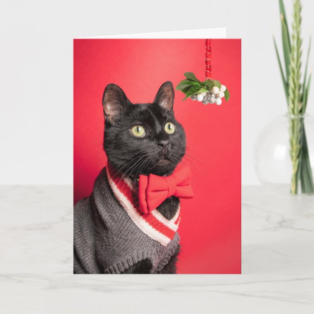 God jul handligt katt med istletoe Humor Helgkort (Framsida)